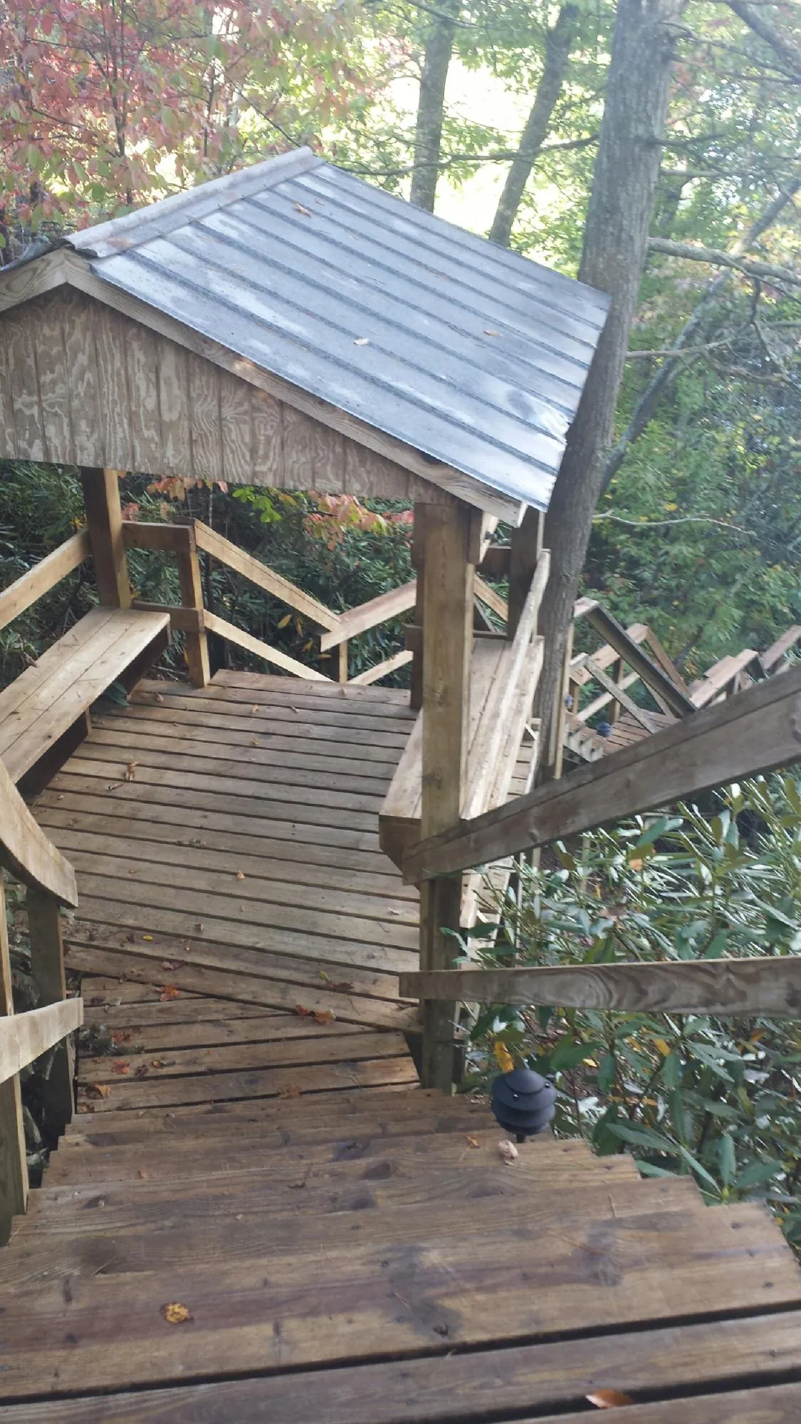 Metal roofed shelter over wooden steps on a wooded walkway — Skylight Repair & Installation work by our crew in Enumclaw